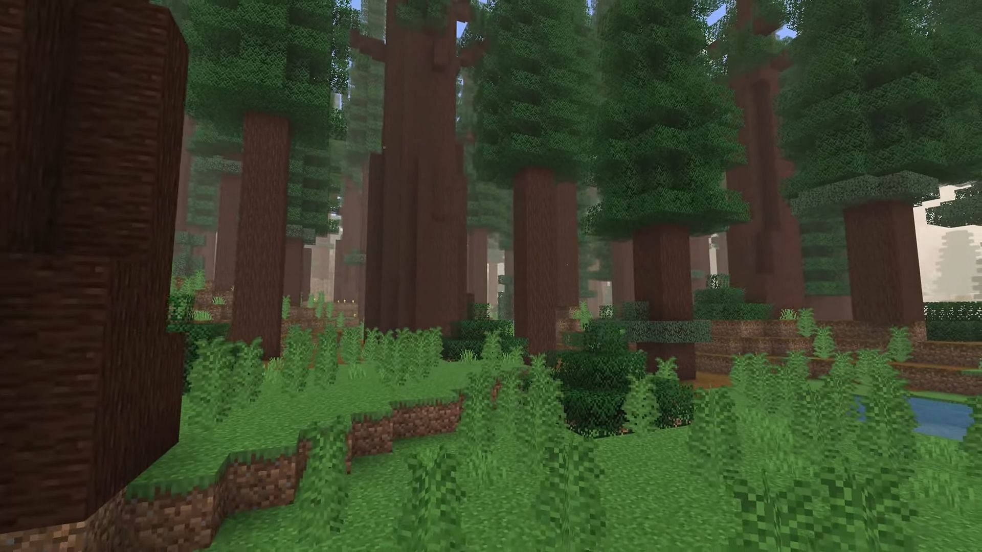 A redwood forest as seen in Minecraft&rsquo;s Expansive Biomes mod (Image via iKorbon/YouTube)