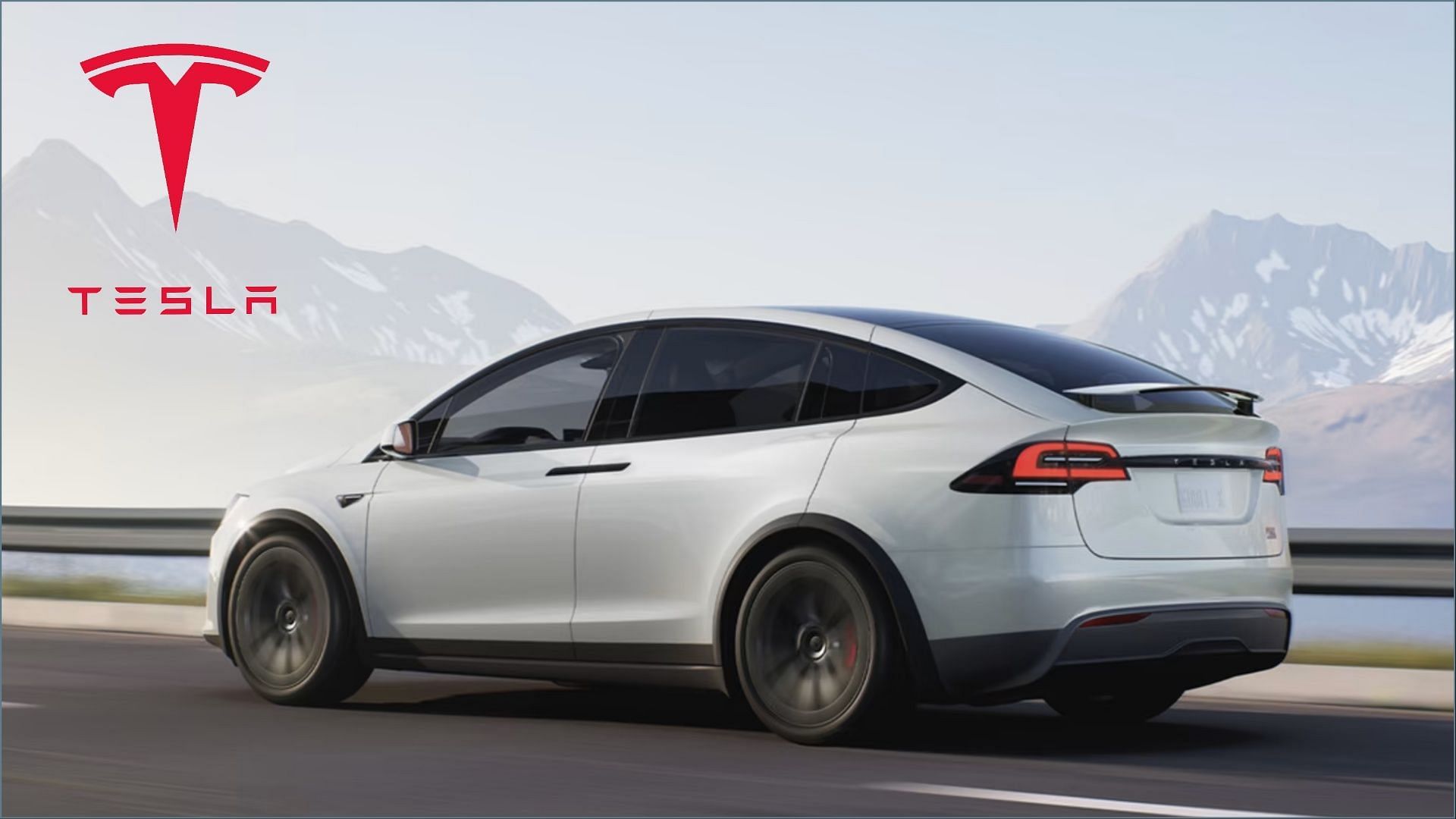 Tesla model online x issues