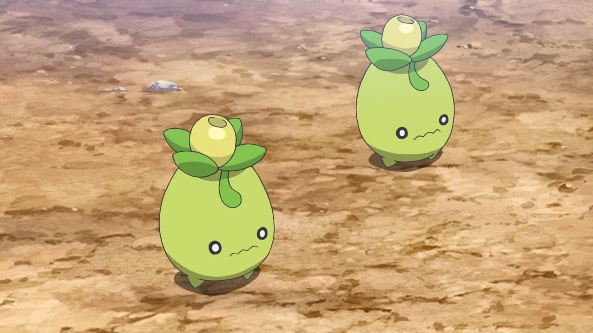 Smoliv as seen in the anime (Image via The Pokemon Company)