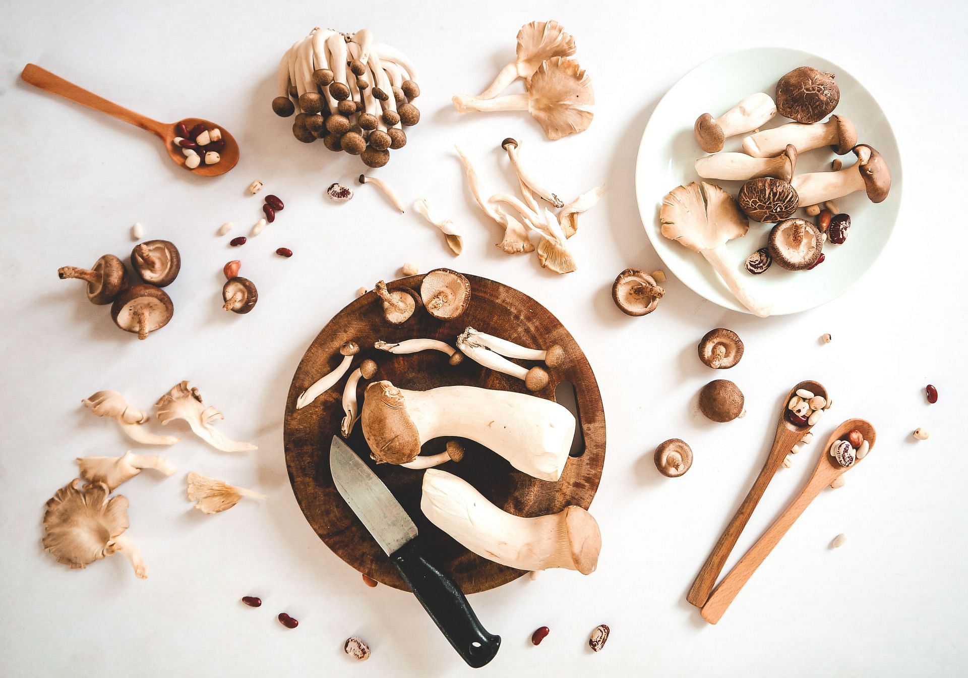 Healthy fungi (Image via Unsplash/Thanh)