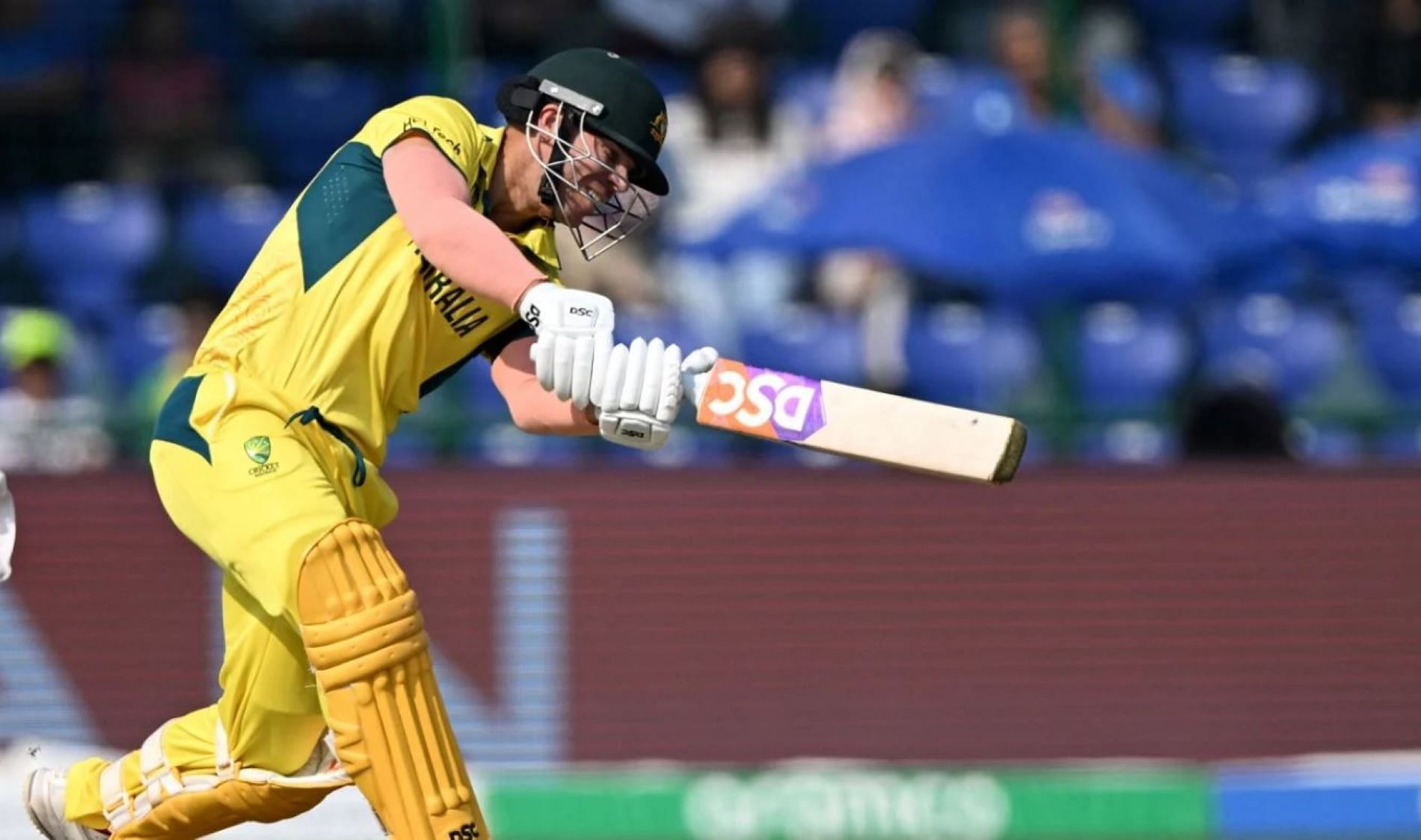 David Warner has slowly but surely rediscovered his touch in the ongoing World Cup.