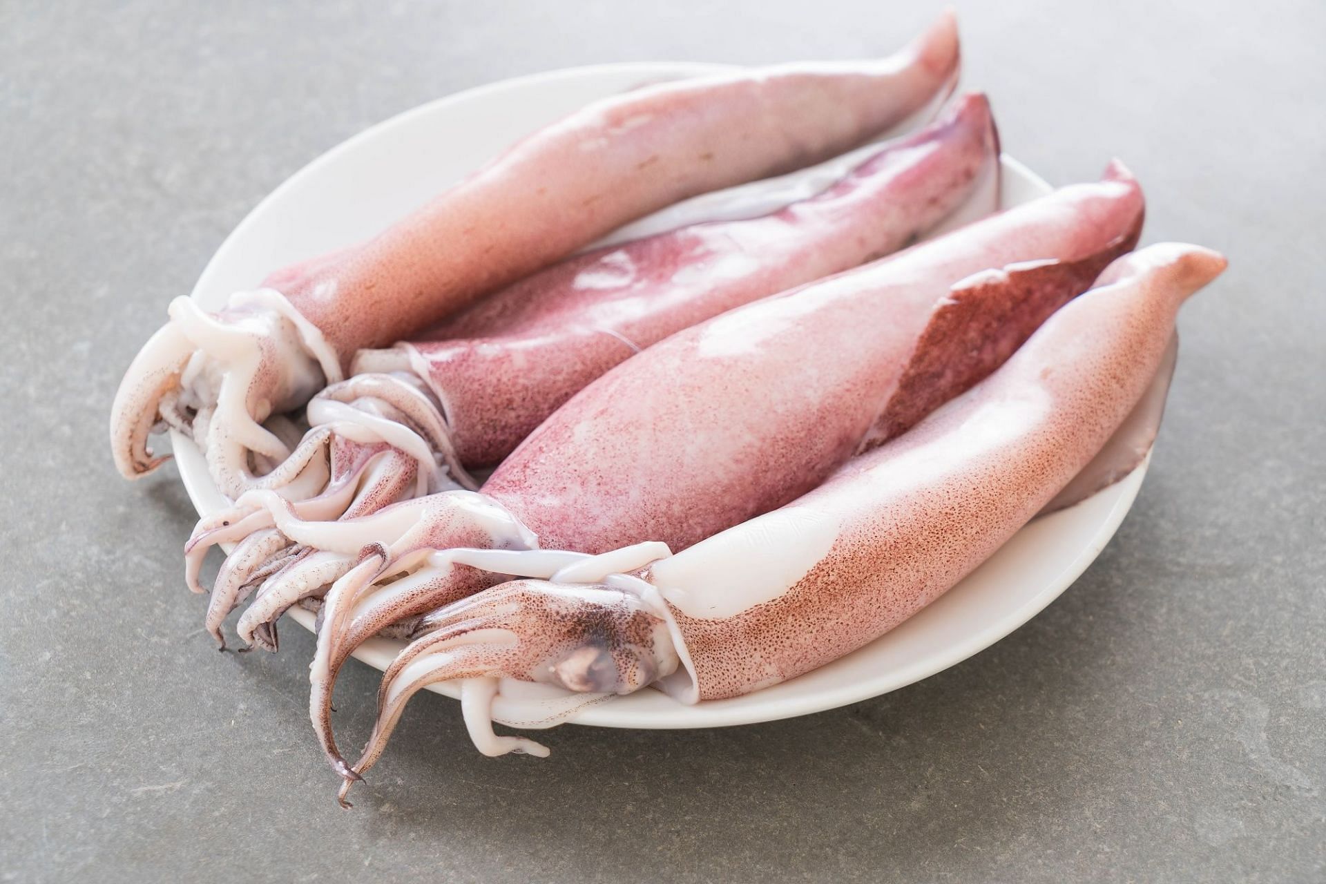 Even after being dried the nutritional as well as the taste of squids remain the same (Image by topntp26 on Freepik)