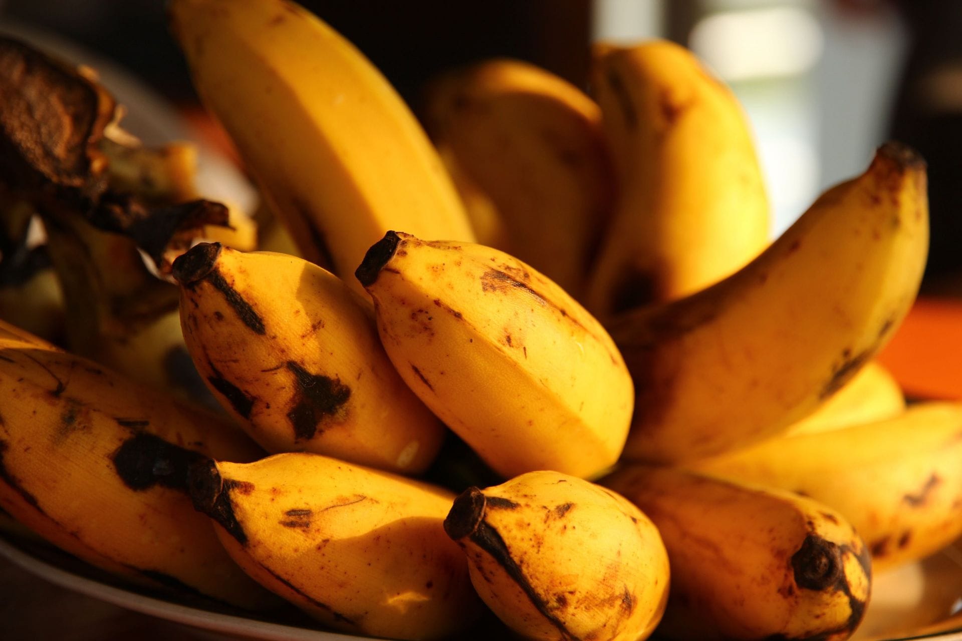 Catastrophic fungal disease could wipe out the most popular fruit in the world Cavendish bananas