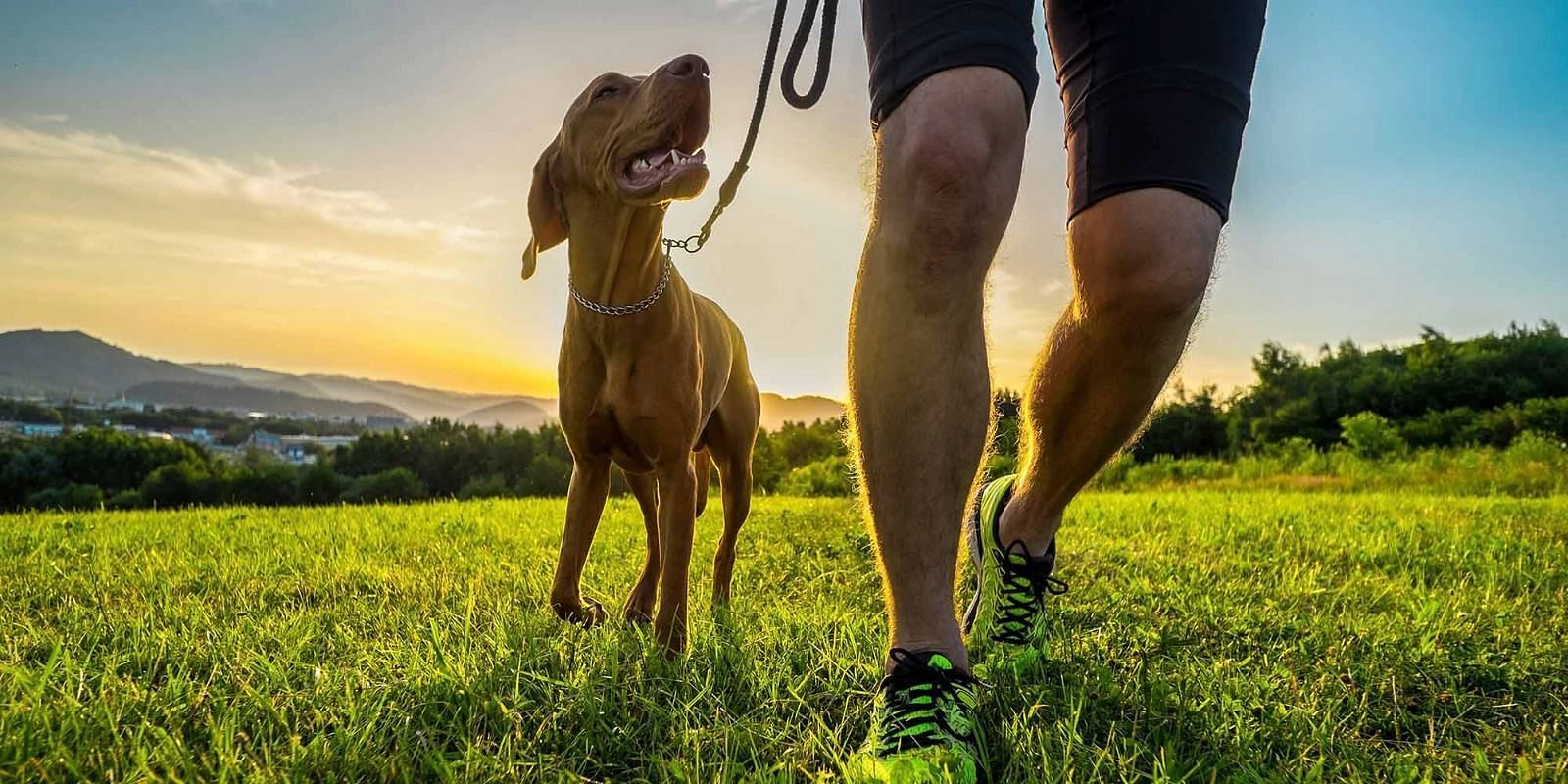 Workout with dog (Image via Pexels/Zen Chung)
