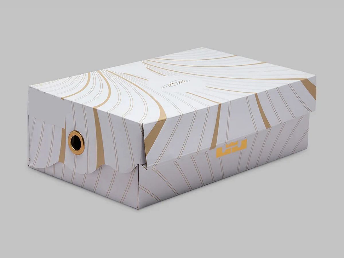 Nike LeBron 21 &ldquo;Dunkman&rdquo; sneakers come with great packaging (Image via Twitter/@SneakerNews)