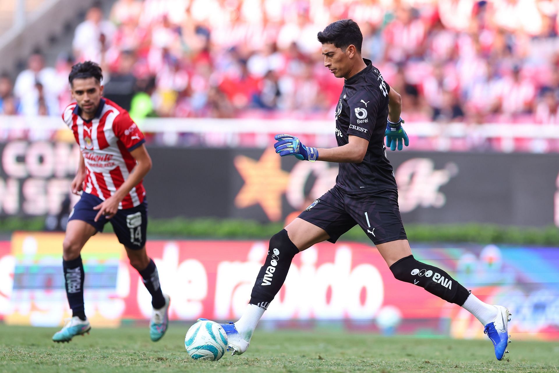 Monterrey vs Club América: times, how to watch on TV, stream