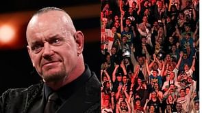 Popular WWE star reacts to The Undertaker returning to TV