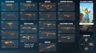 Raze-themed Valorant inventory (Image via Valorant)