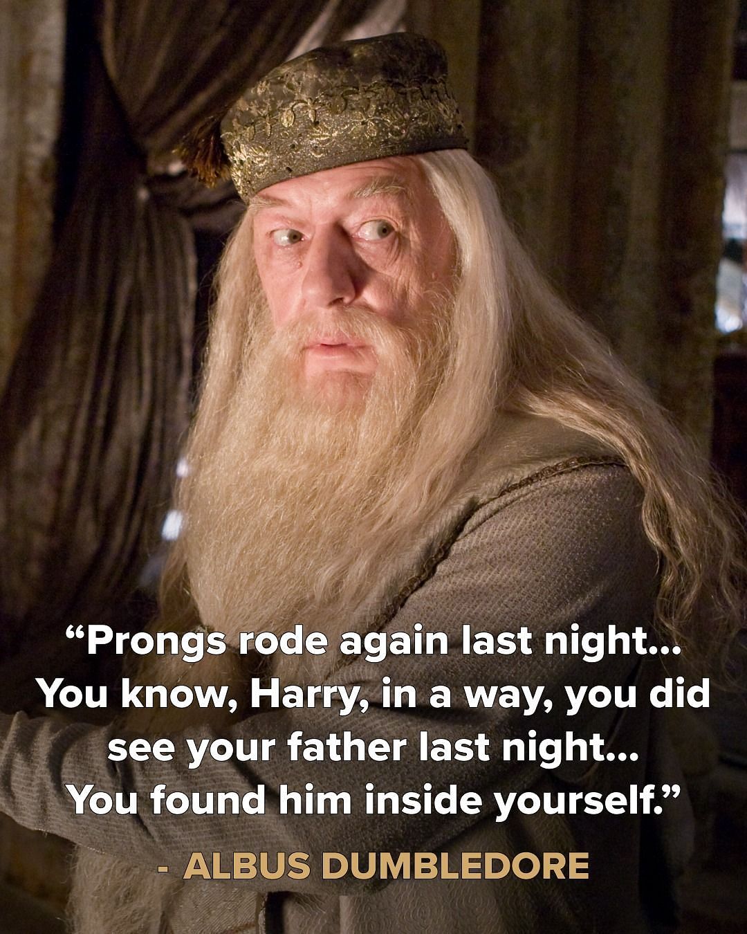 Was Michael Gambon in The Lord of the Rings?