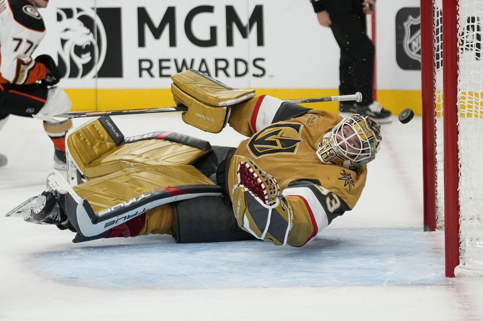 Ducks Golden Knights Hockey