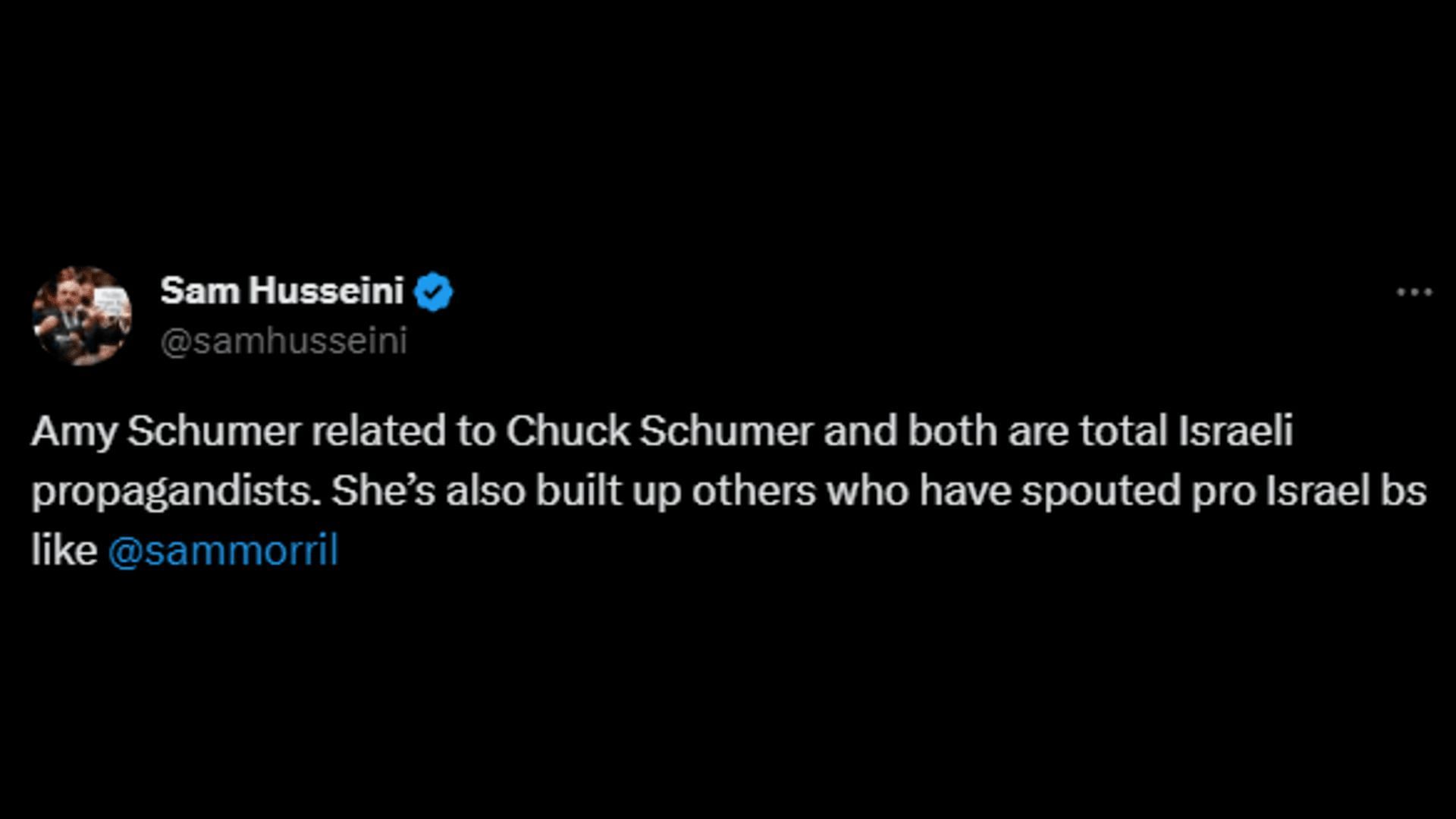 A netizen slams the Schumer cousins. (Image via X/samhusseini)