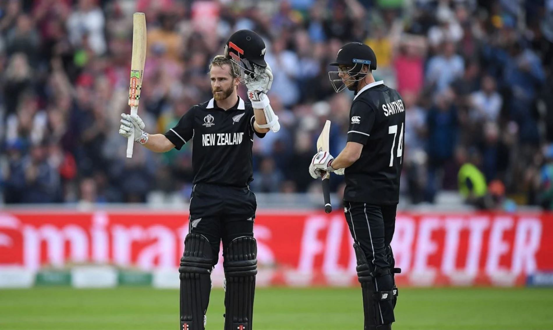 Kane Williamson single-handedly led New Zealand to a final-over victory against the Proteas.