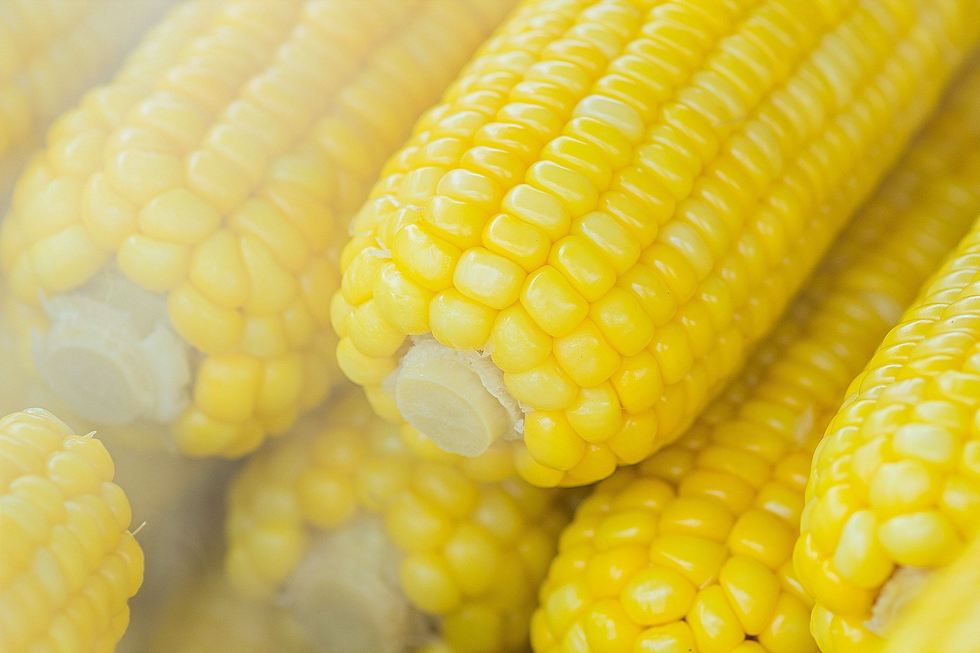 Corn can be cooked in a variety of ways. (Image via Pexels/NEOSiAM 2021)