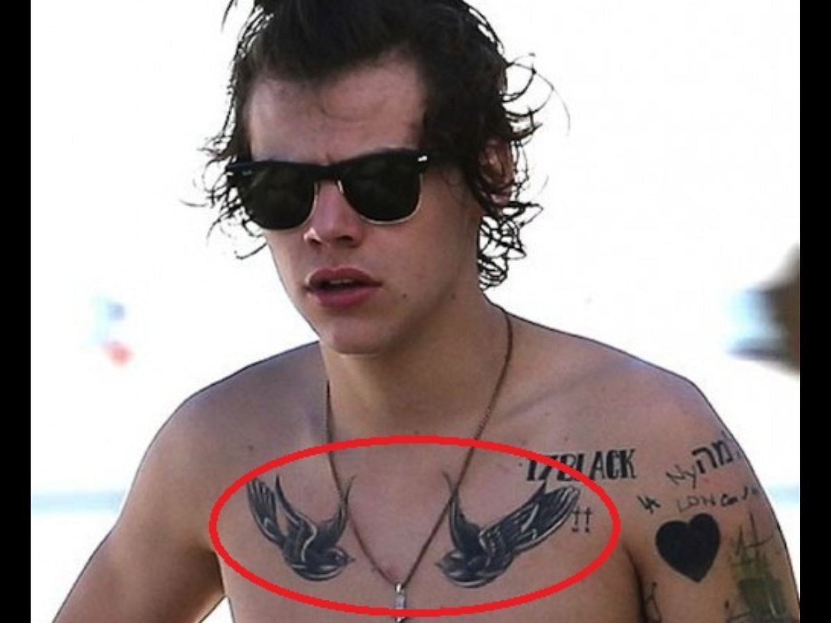 How many tattoos does Harry Styles have? Designs and meanings explored