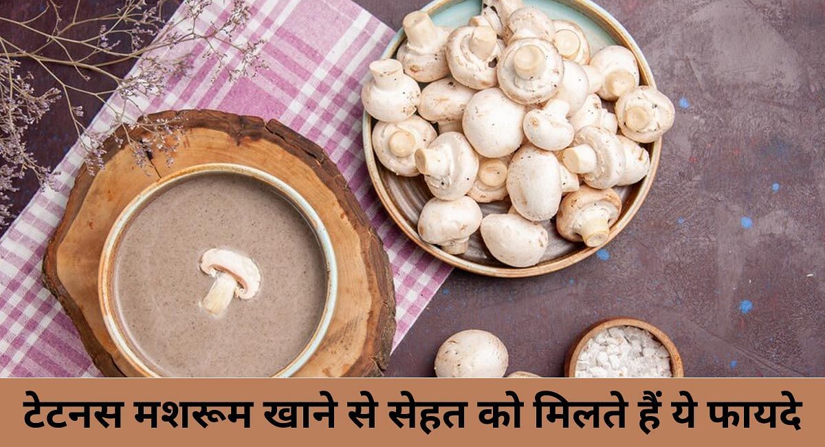 टेटनस मशरूम खाने से सेहत को मिलते हैं ये फायदे(फोटो-Sportskeeda hindi)