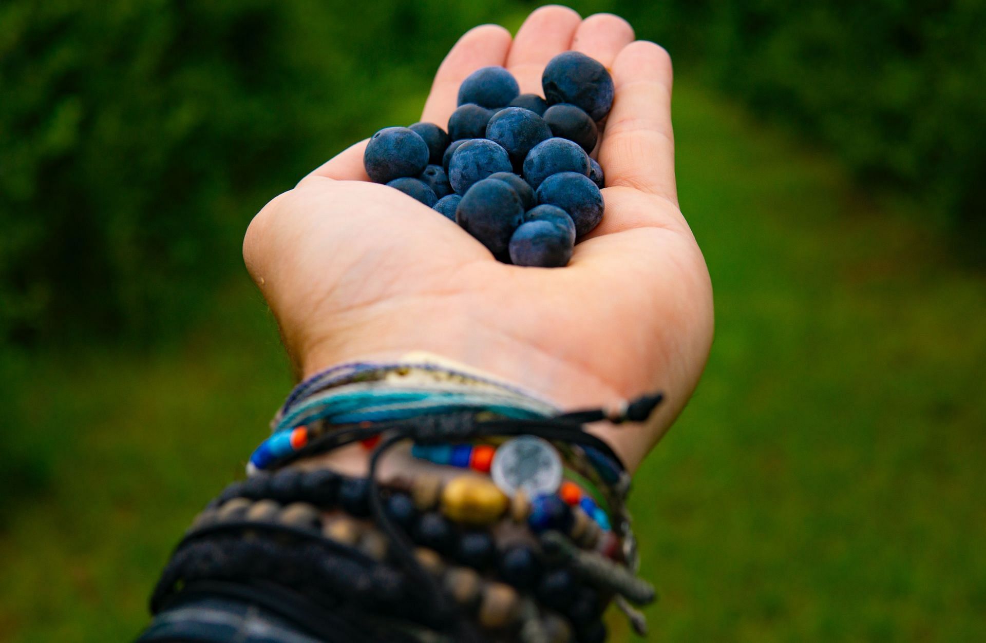 Hypertension diet also known as the DASH diet (Image via Unsplash / Joshua Woroniecki)