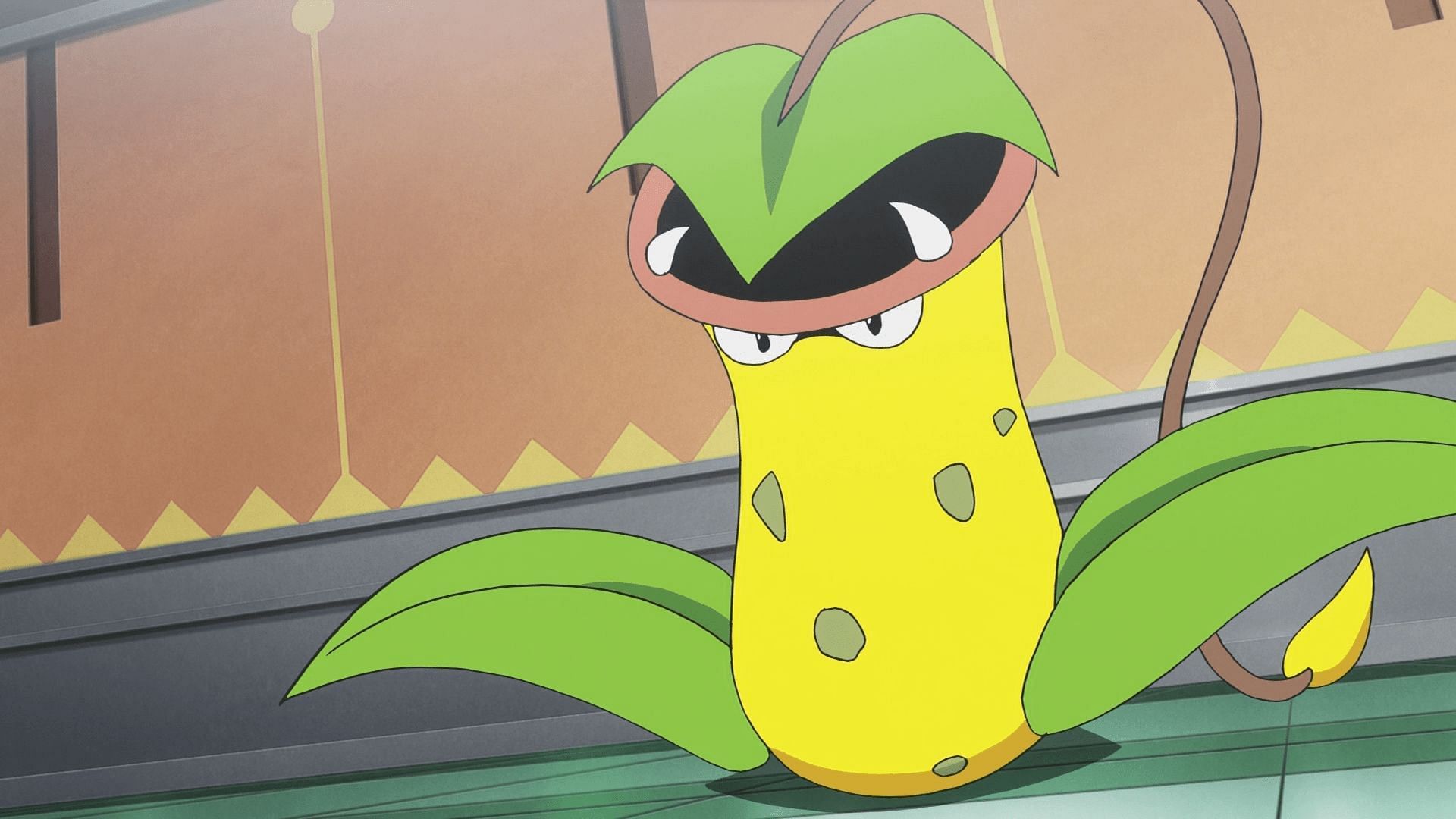 Victreebel in the anime (Image via TPC)