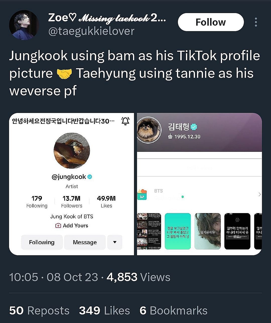 Fans talking about V and golden maknae&#039;s love for Yeontan and Bam (Image via Zoe/X)