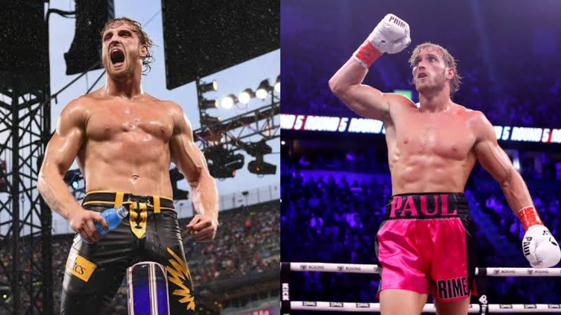 Logan Paul has been on hiatus from WWE