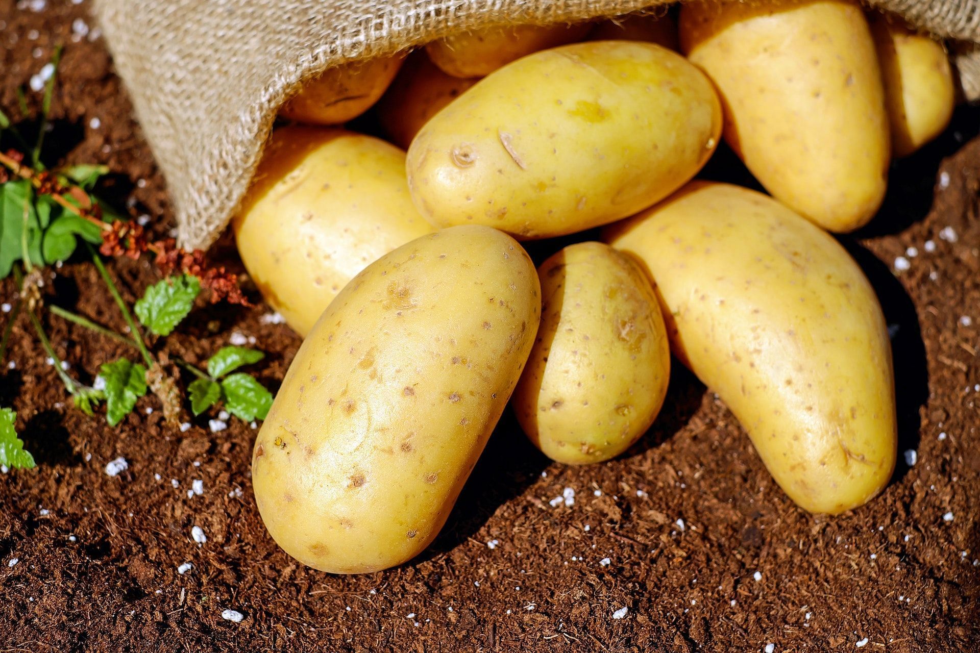 Potatoes are a staple vegetable. (Image via Pexels/Pixabay)