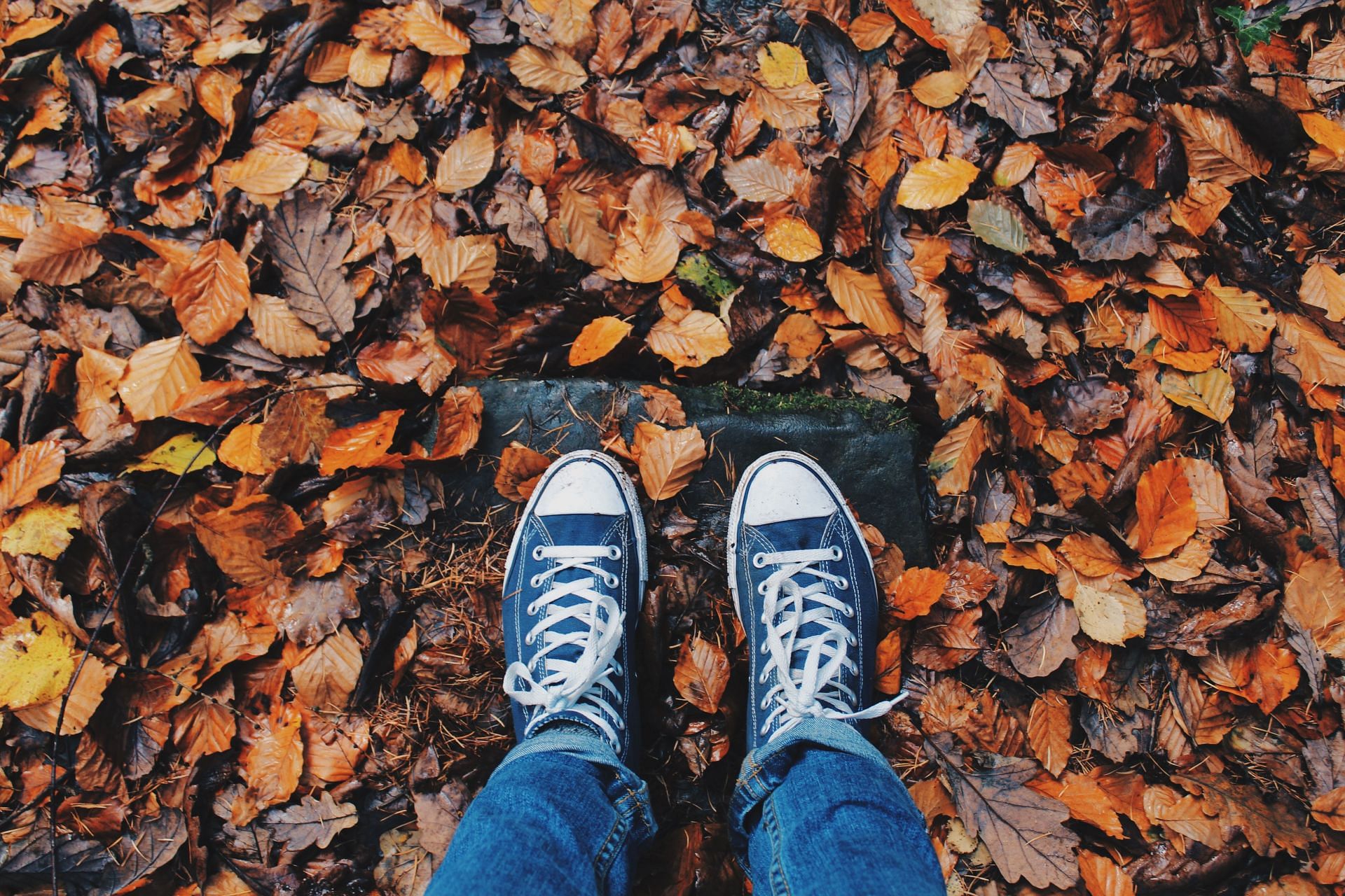 Grounding is one of the quickest and easiest tip to stay calm and collected. (Image via Pexels/ Pixabay)