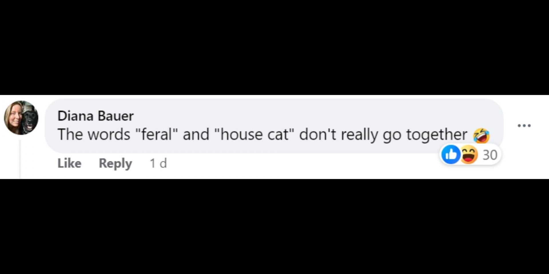 Netizens react to alleged cougar sighting in Pennsylvania and PGC concluding that it was a &#039;feral house cat&#039;. (Image via Facebook/WFMZ)