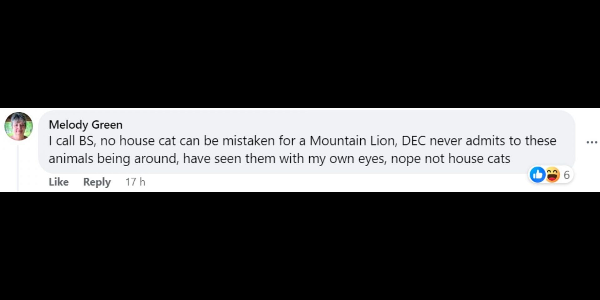 Netizens react to alleged cougar sighting in Pennsylvania and PGC concluding that it was a &#039;feral house cat&#039;. (Image via Facebook/WFMZ)