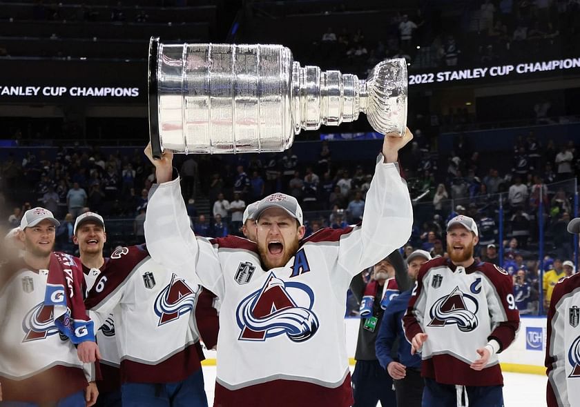 Download Colorado Avalanche Celebrating Stanley Cup Victory 2014