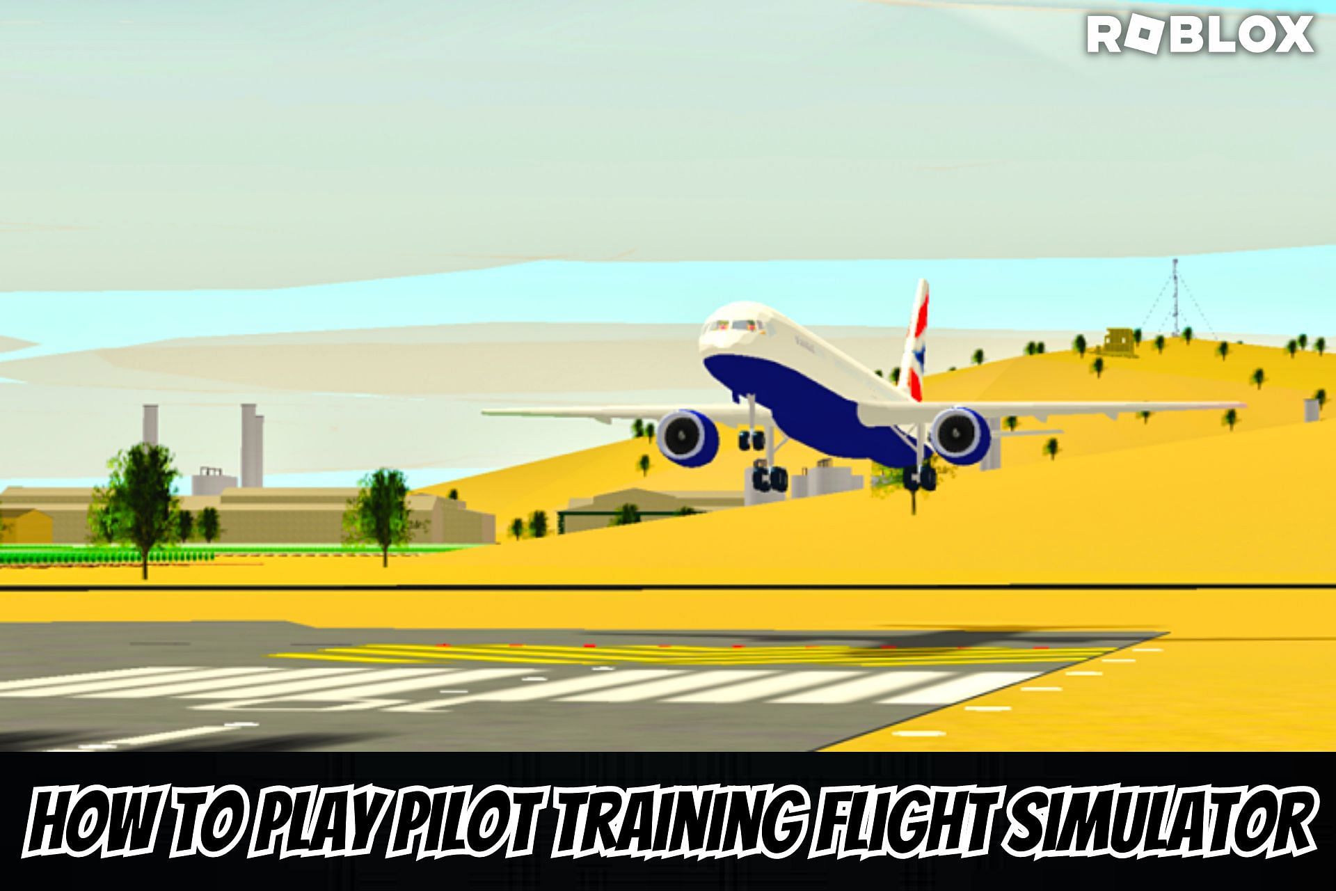 How to play Pilot Training Flight Simulator