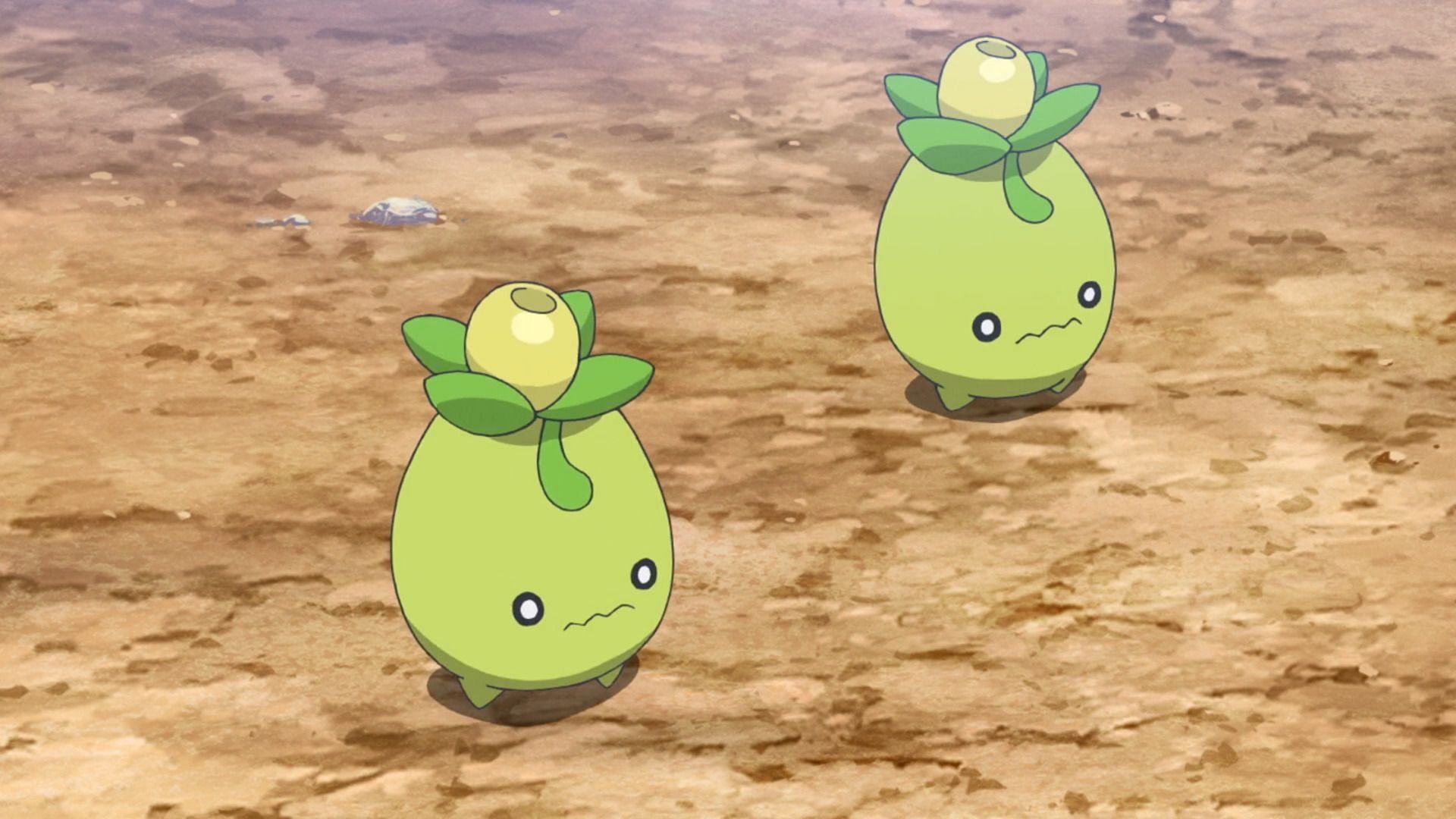 Smoliv, as seen in the anime (Image via The Pokemon Company)