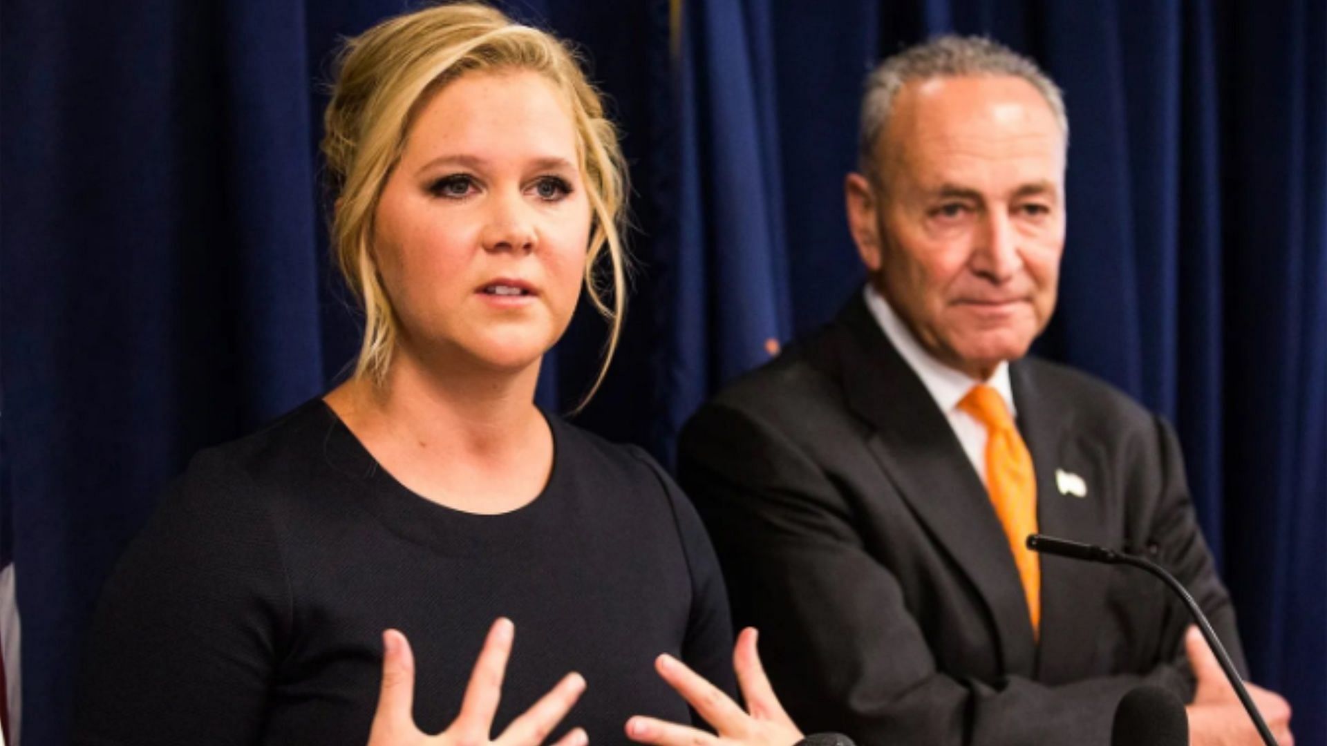 Amy Schumer and Chuck Schumer are second cousins. (Image via X/arianajasmine__)