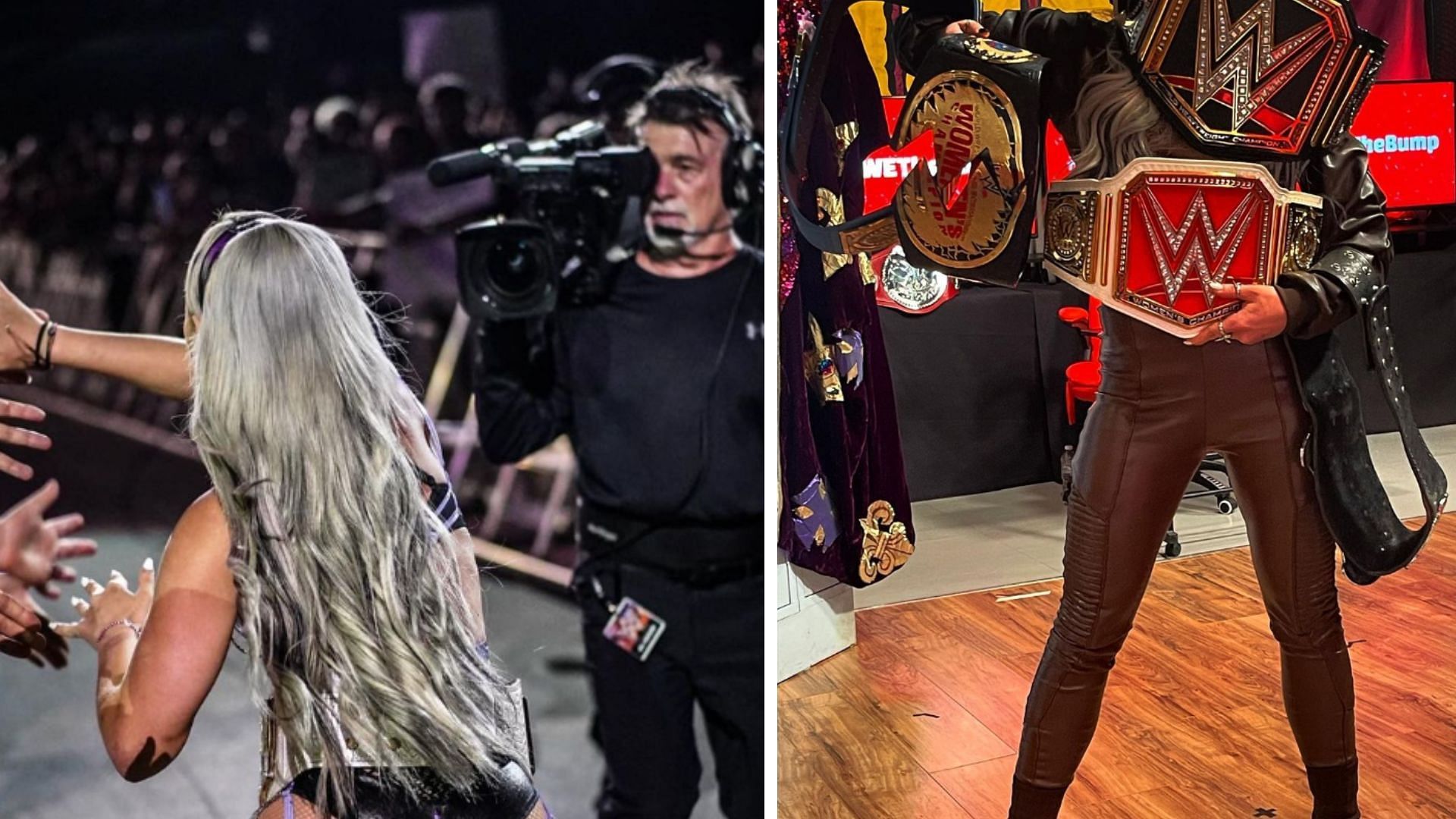 A lot of WWE Superstars have different careers before wrestling