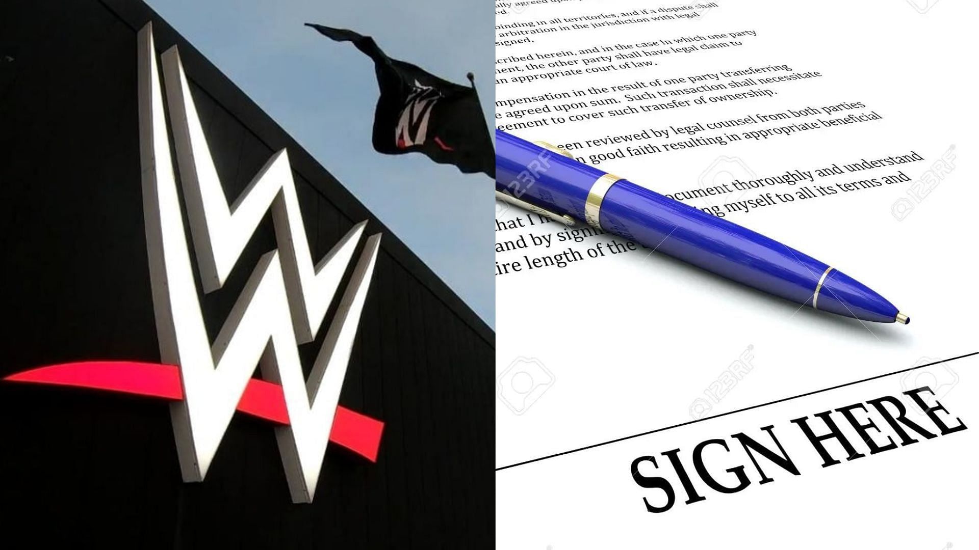 Wwe contracts hotsell