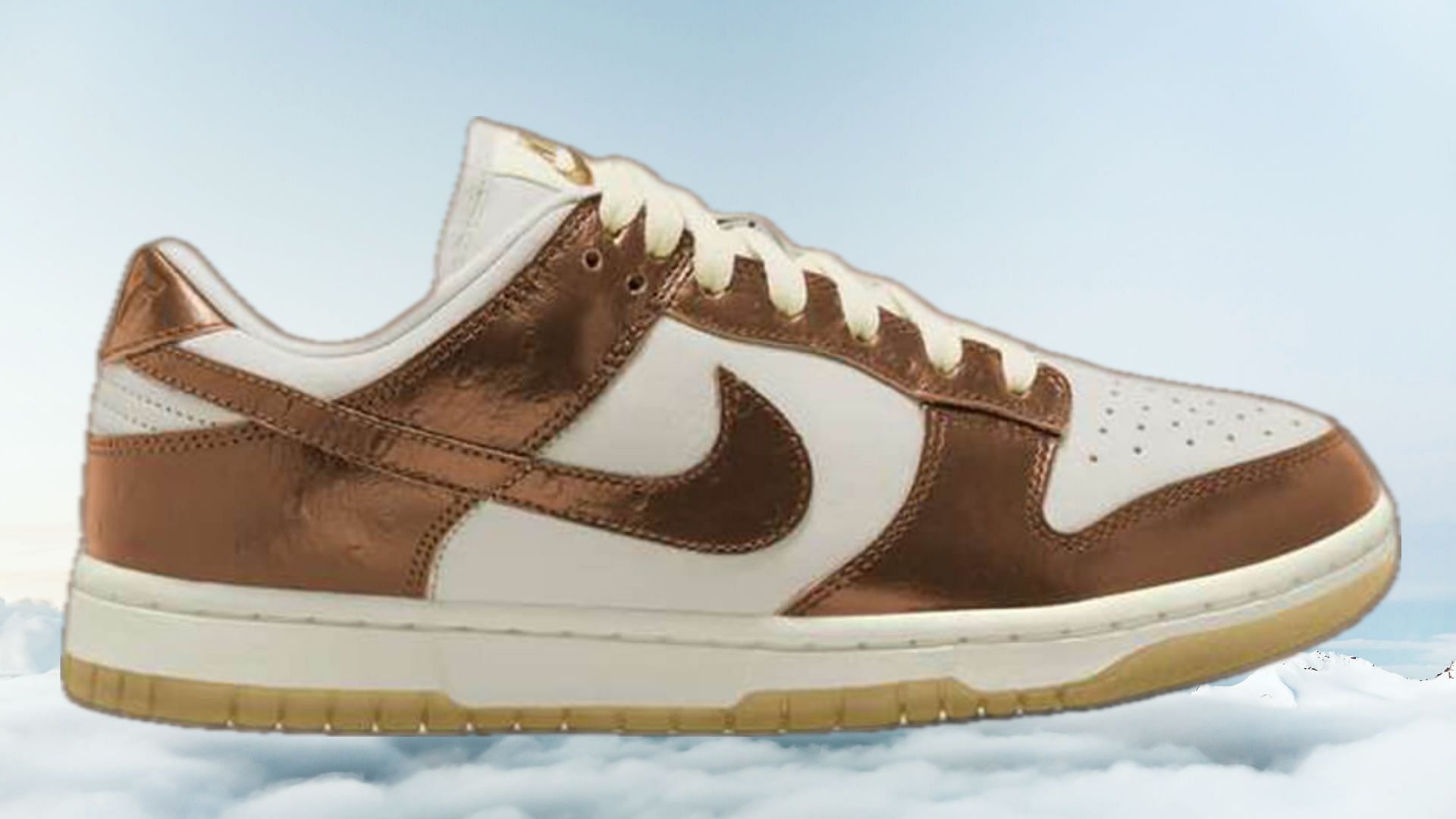 Here&#039;s another look at the Dunk Low shoes (Image via Nike)