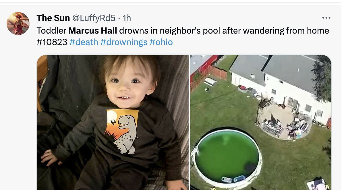 Parents remember Marcus as the 2-year-old toddler tragically passed away after drowning in the neighbor&#039;s pool. (Image via Twitter)