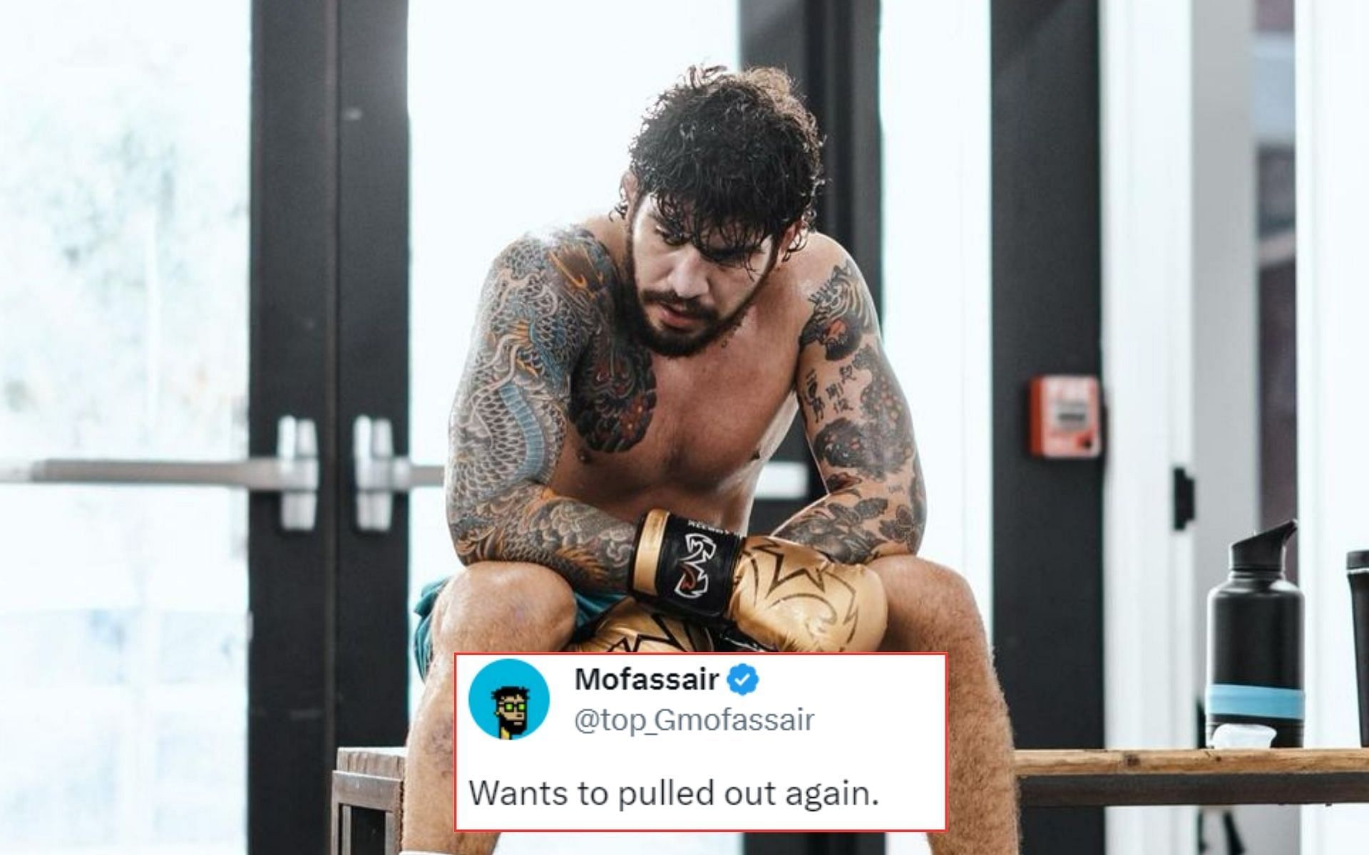 Dillon Danis [Image courtesy @dillondanis on Instagram @dillondanis on Twitter]