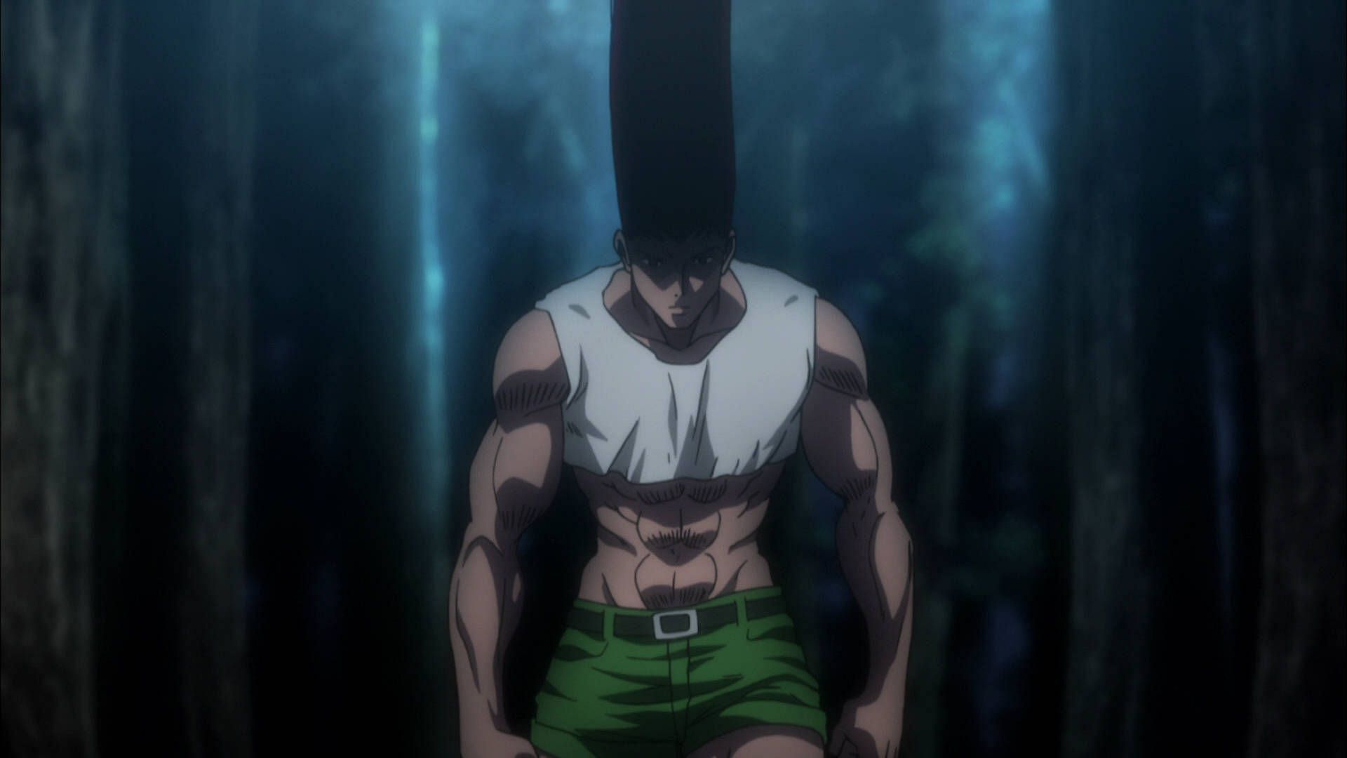 Gon after his transformation (Image via Madhouse)