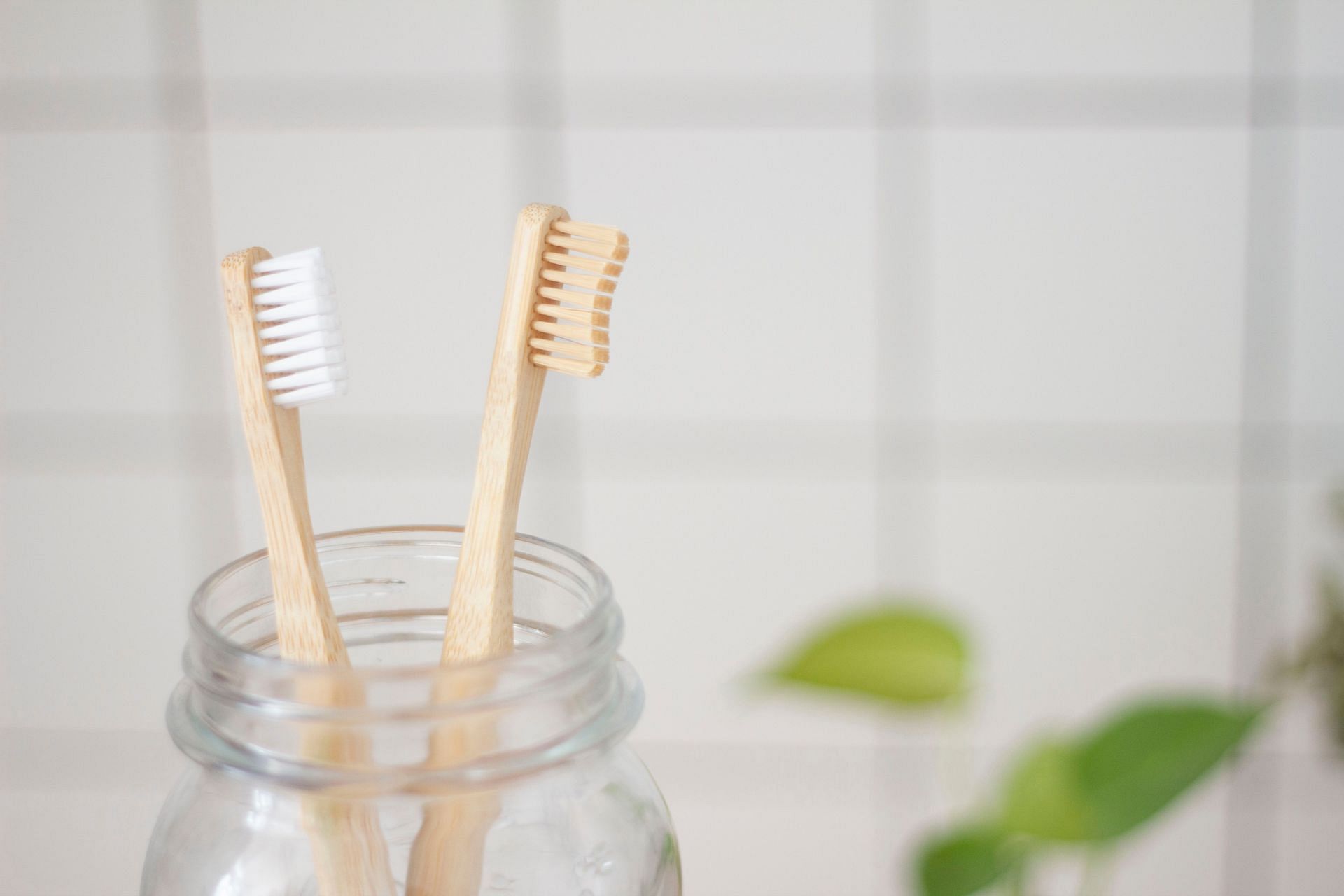 Aggressively brushing your teeth can damage the gums. (Image via Unsplash/Superkitina )