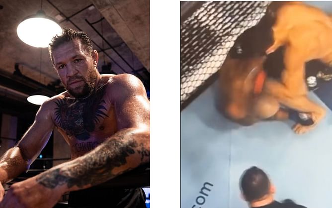 UFC 294: Conor McGregor raises eyebrows with critique of Islam Makhachev's 'back of the head' shots on Alexander Volkanovski