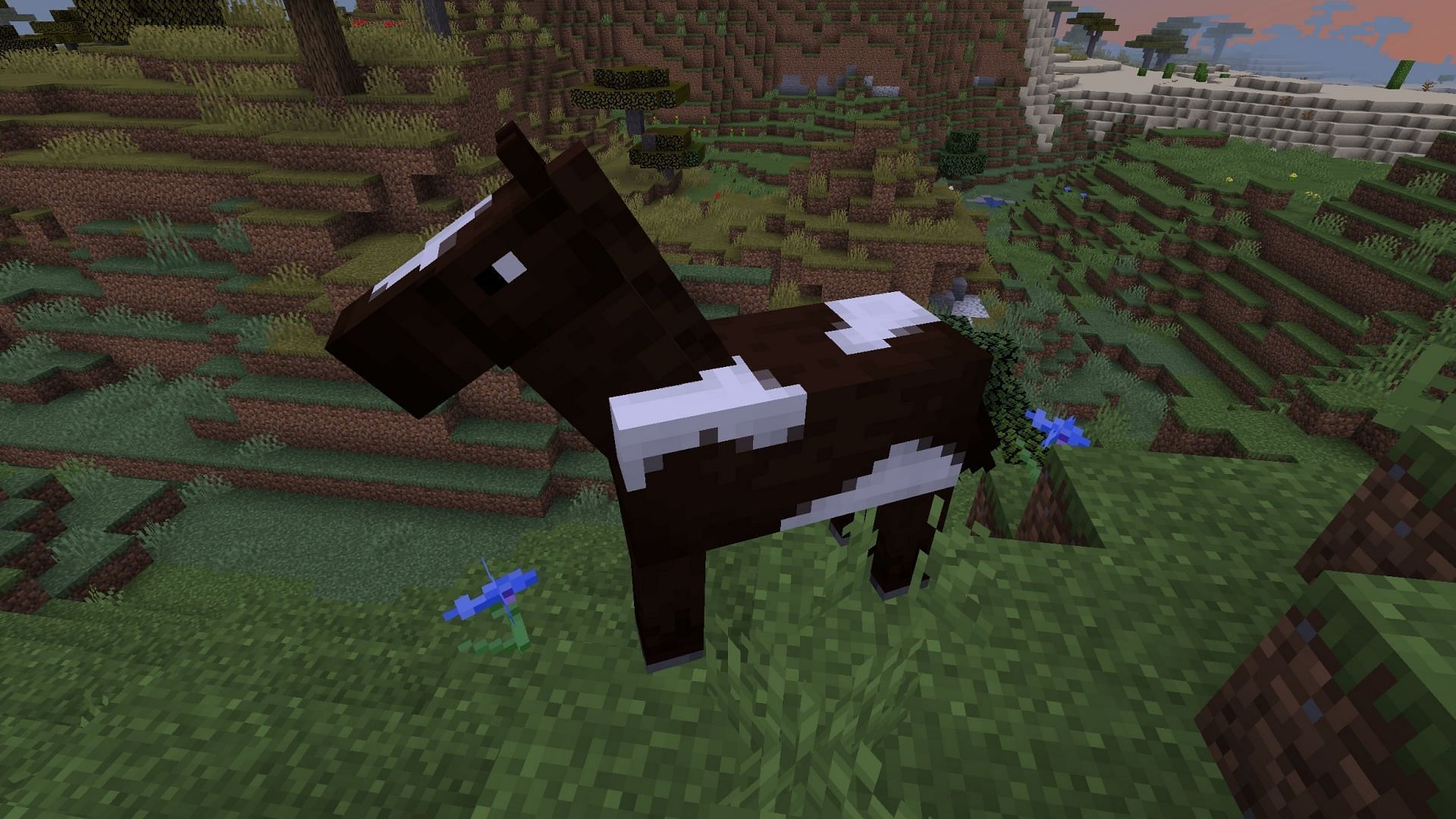 Find two really good horses to breed with each other in Minecraft (Image via Mojang)