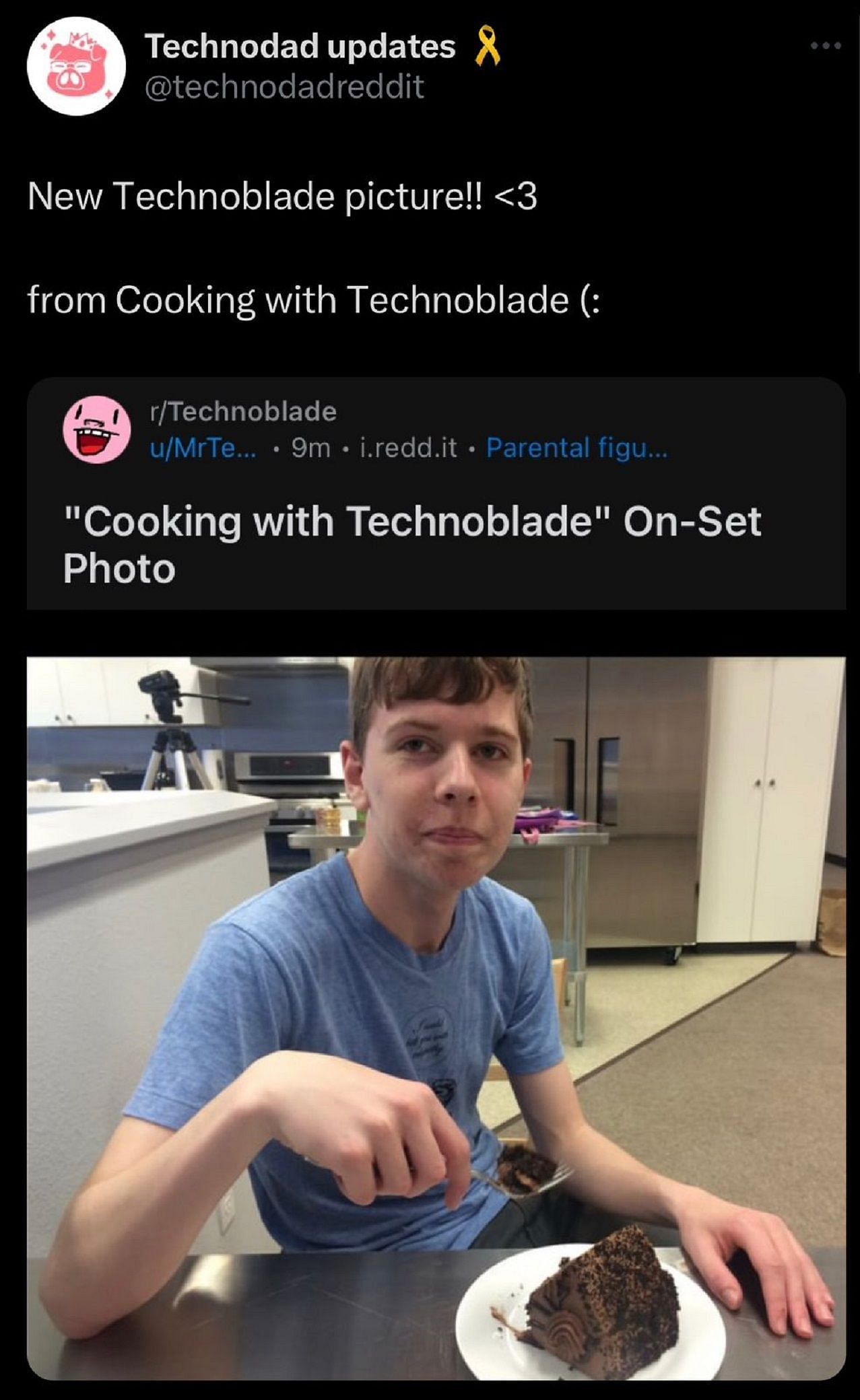 Technoblade's Last  Comment : r/Technoblade