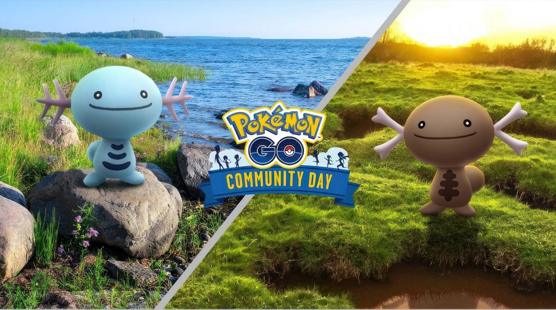 Wooper and Paldean wooper community Day