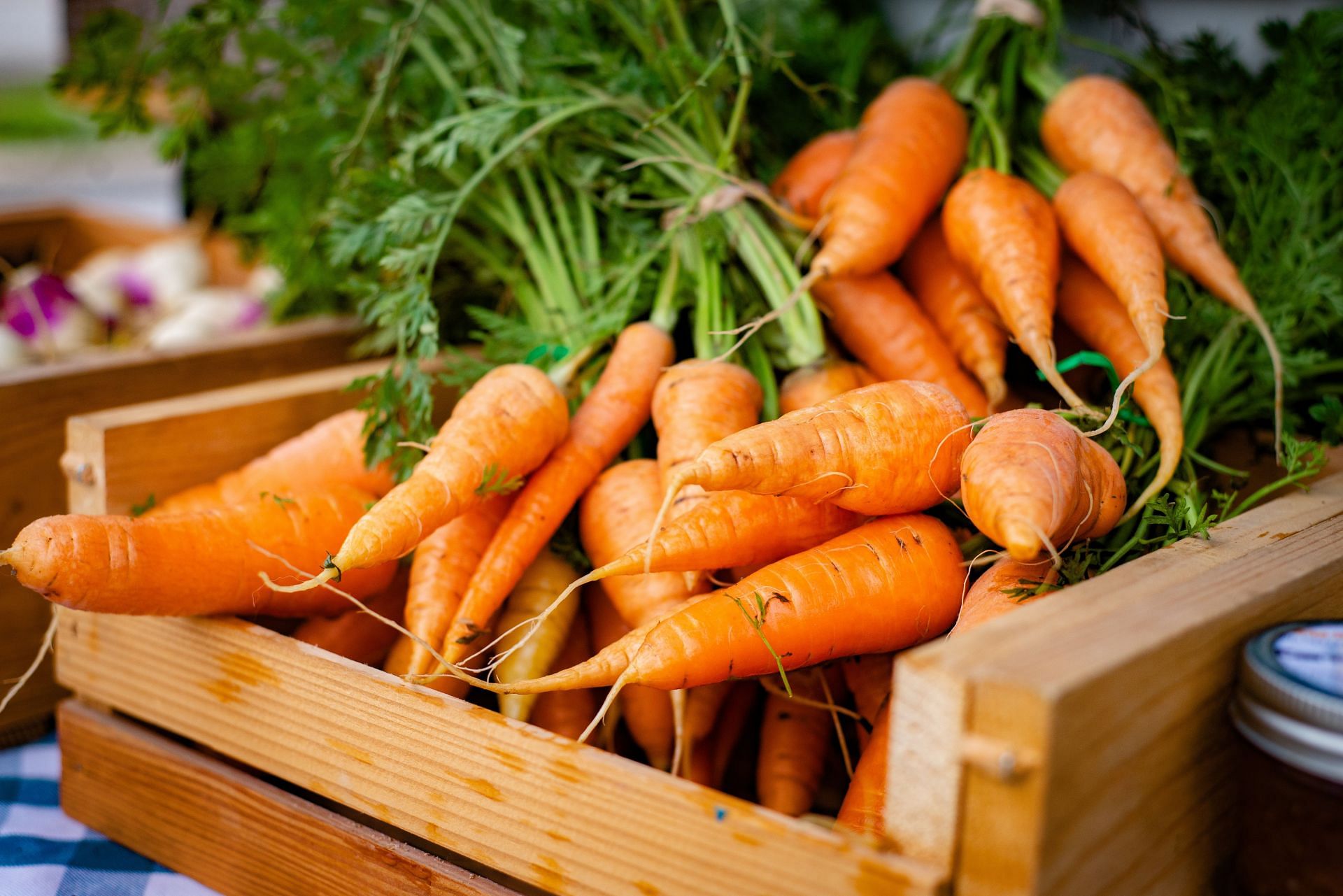 Carrots for eyesight (Image via Unsplash/David)