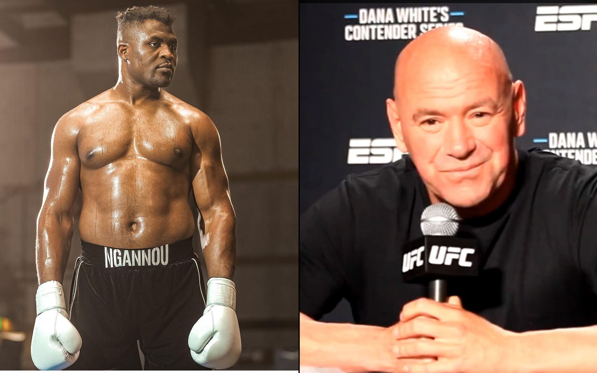 Francis Ngannou (left) and Dana White (right) (Image credits @francisngannou and @ufc on Instagram)