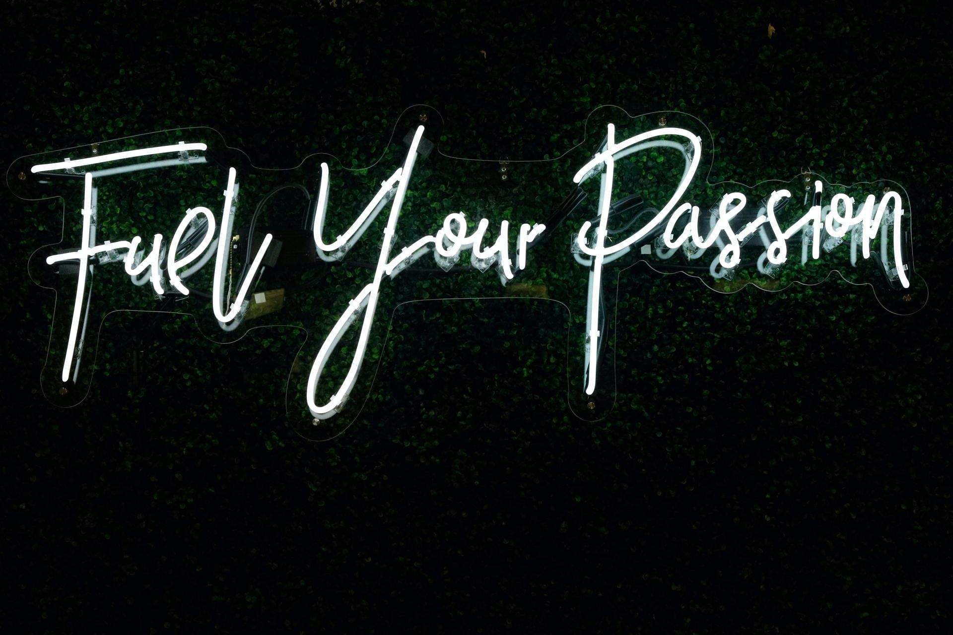 Purpose drives goals and goals drive behavior. (Image via Unsplash/ Randalyn Hill)