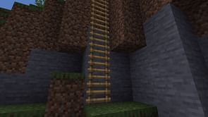 Minecraft player imagines ladders using different wood types and ores