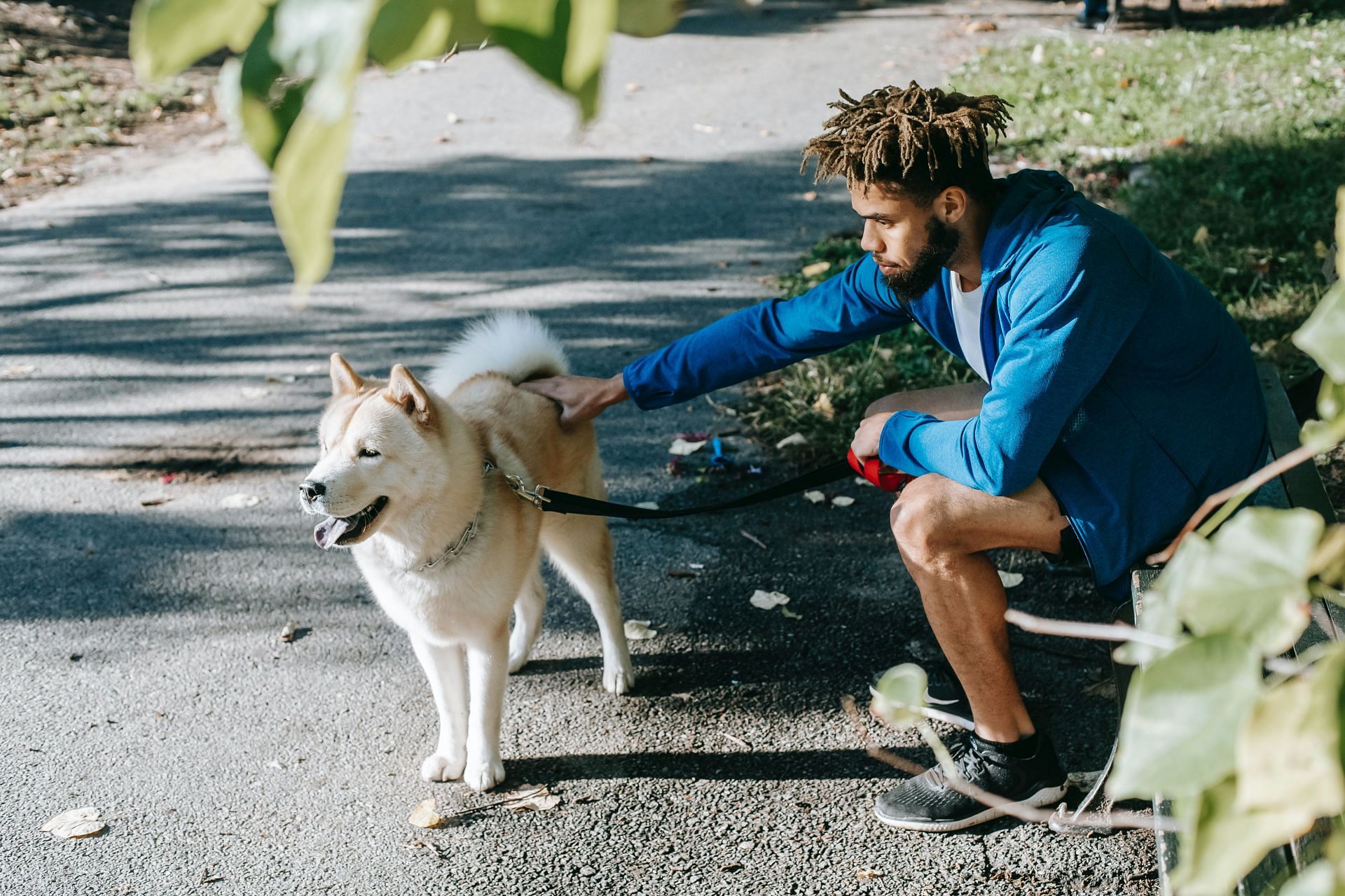 Workout with dog (Image via Pexels/Zen Chung)