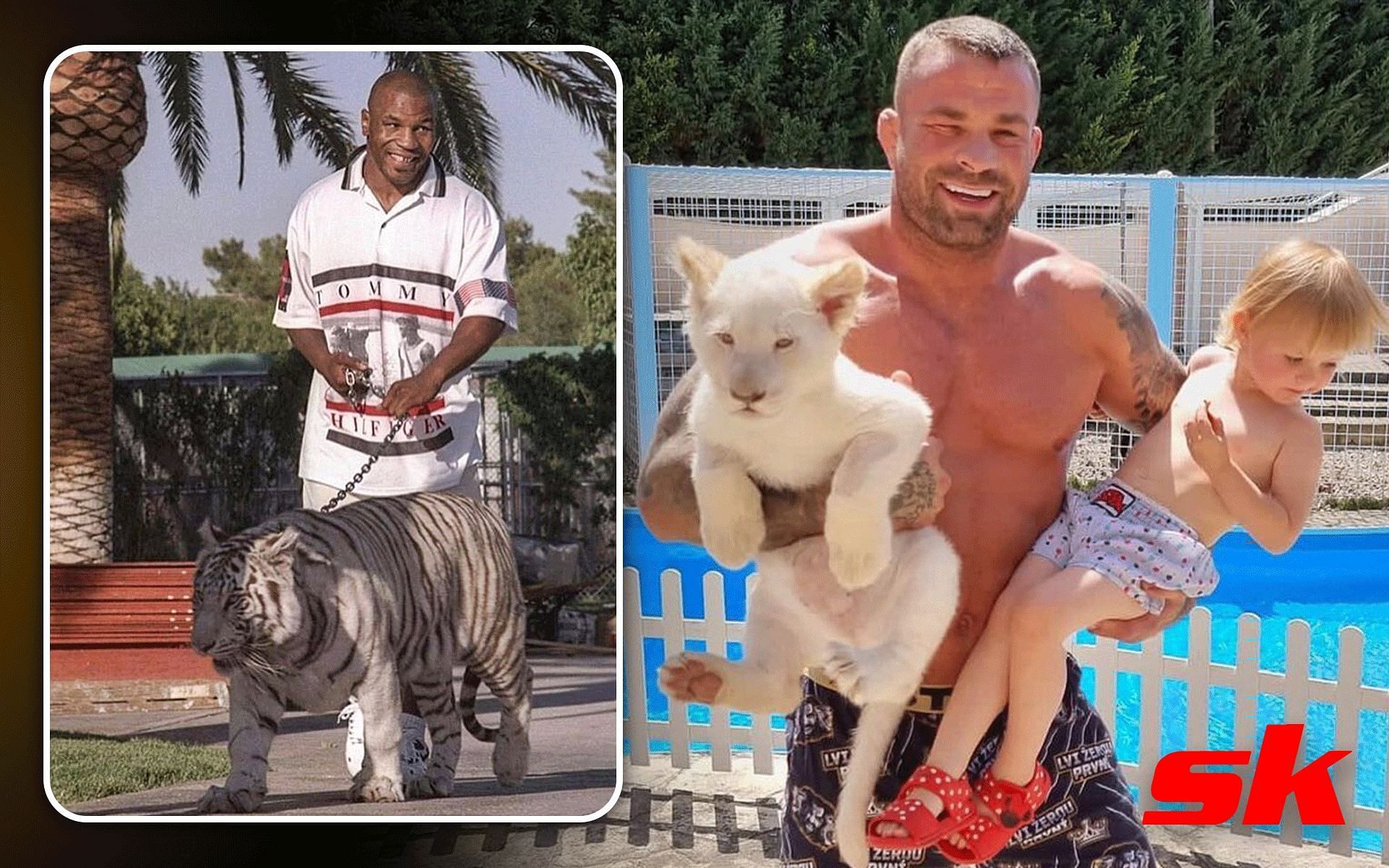 Mike Tyson inspires MMA fighter to keep lions, tigers, and crocodiles in  the house he shares with wife and kids