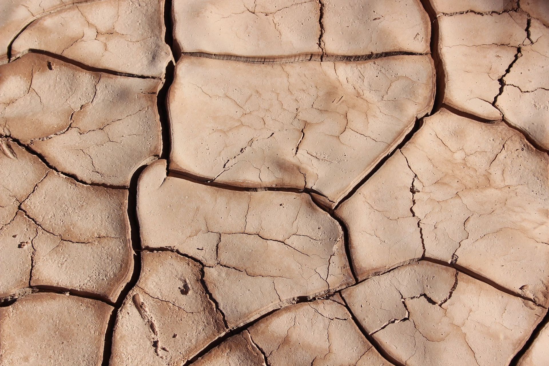 Coconut Oil moisturizes Dry Skin (Image via Unsplash/Brad Helmink)