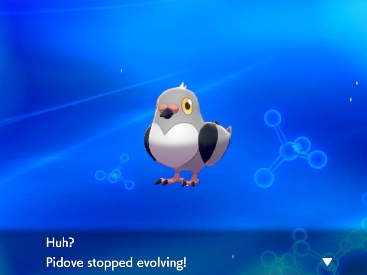 In this challenge run, Evolution doesn't exist (Image via Game Freak)